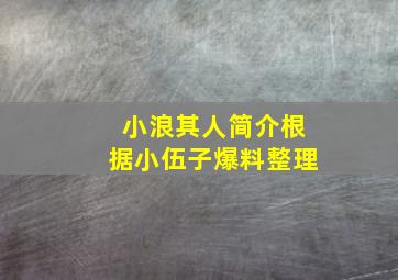 小浪其人简介(根据小伍子爆料整理)