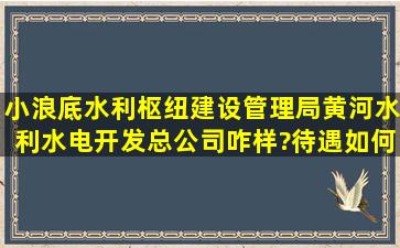 小浪底水利枢纽建设管理局(黄河水利水电开发总公司)咋样?待遇如何?