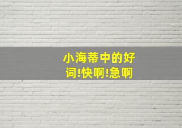 小海蒂中的好词!快啊!急啊