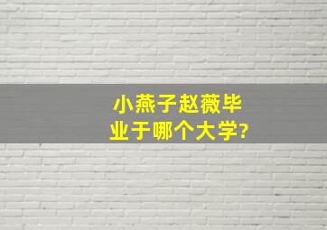 小燕子赵薇毕业于哪个大学?