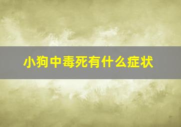 小狗中毒死有什么症状