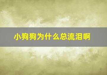 小狗狗为什么总流泪啊