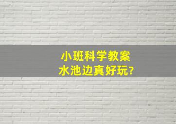 小班科学教案水池边真好玩?