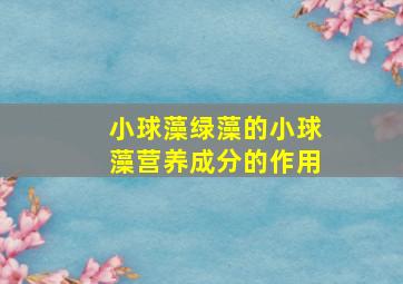 小球藻(绿藻)的小球藻营养成分的作用