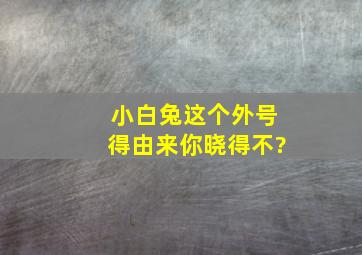 小白兔这个外号得由来你晓得不?