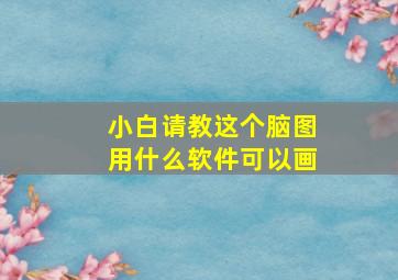 小白请教这个脑图用什么软件可以画