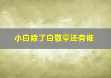 小白除了白敬亭还有谁