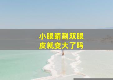 小眼睛割双眼皮就变大了吗