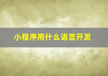 小程序用什么语言开发