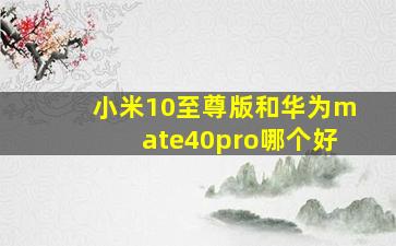 小米10至尊版和华为mate40pro哪个好