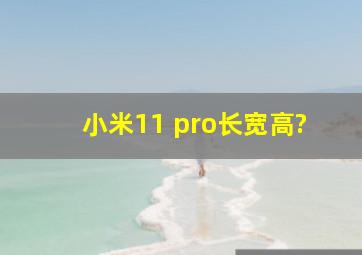 小米11 pro长宽高?