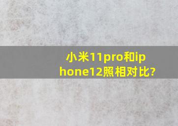 小米11pro和iphone12照相对比?