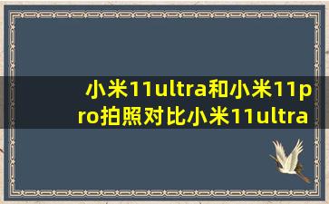 小米11ultra和小米11pro拍照对比小米11ultra和小米11pro拍照区别