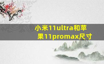 小米11ultra和苹果11promax尺寸(