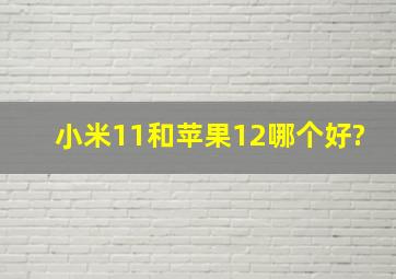 小米11和苹果12哪个好?