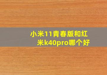 小米11青春版和红米k40pro哪个好