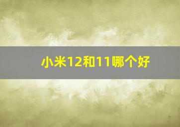 小米12和11哪个好