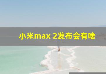 小米max 2发布会有啥