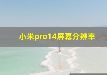 小米pro14屏幕分辨率(