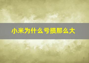 小米为什么亏损那么大