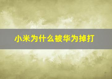 小米为什么被华为掉打(