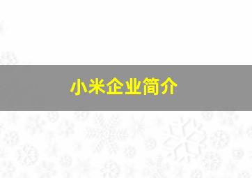 小米企业简介