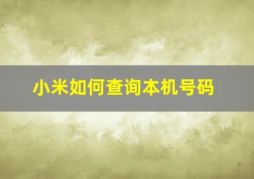 小米如何查询本机号码