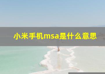 小米手机msa是什么意思