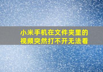 小米手机在文件夹里的视频突然打不开,无法看