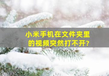 小米手机在文件夹里的视频突然打不开?