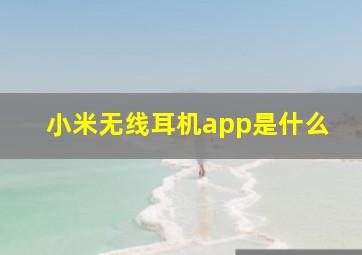 小米无线耳机app是什么