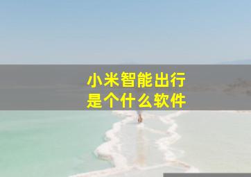 小米智能出行是个什么软件