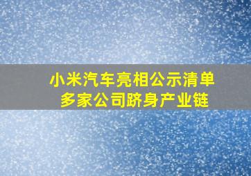 小米汽车亮相公示清单 多家公司跻身产业链