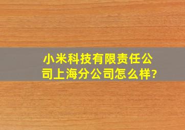 小米科技有限责任公司上海分公司怎么样?