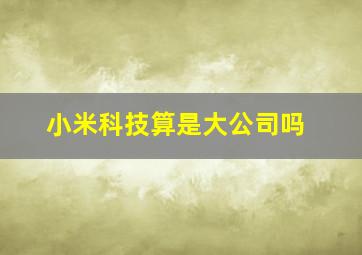 小米科技算是大公司吗