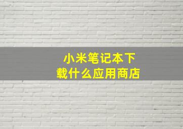 小米笔记本下载什么应用商店