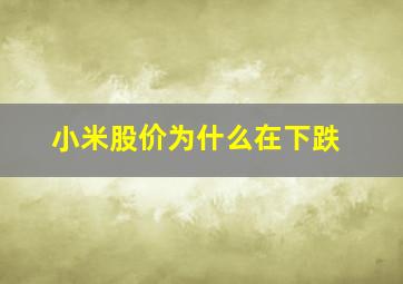 小米股价为什么在下跌