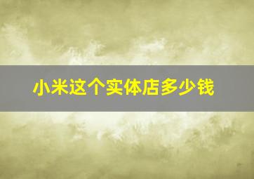 小米这个实体店多少钱