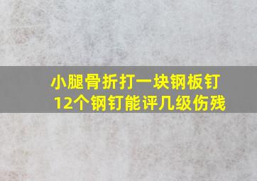 小腿骨折打一块钢板钉12个钢钉能评几级伤残