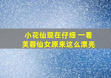 小花仙,现在仔细 一看芙蓉仙女原来这么漂亮