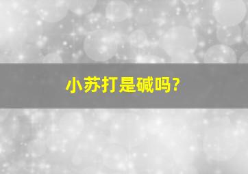 小苏打是碱吗?