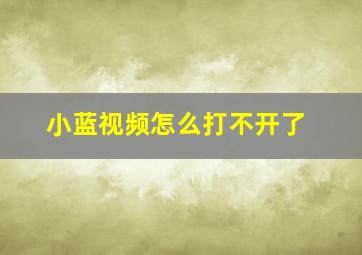 小蓝视频怎么打不开了