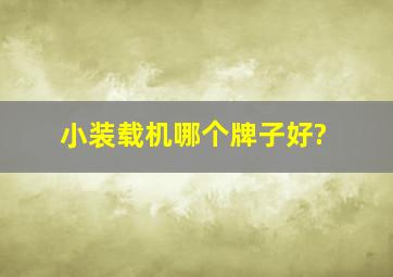 小装载机哪个牌子好?