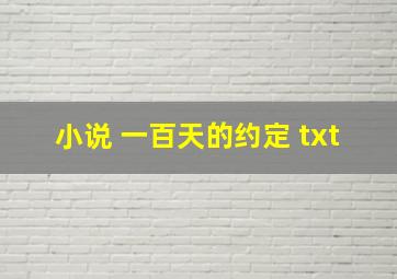 小说 一百天的约定 txt