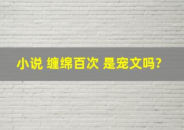 小说 缠绵百次 是宠文吗?