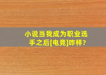 小说(当我成为职业选手之后[电竞])咋样?