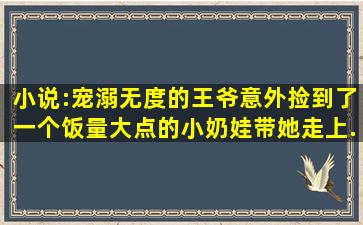 小说:宠溺无度的王爷,意外捡到了一个饭量大点的小奶娃,带她走上...