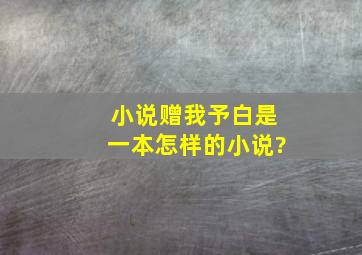 小说《赠我予白》是一本怎样的小说?