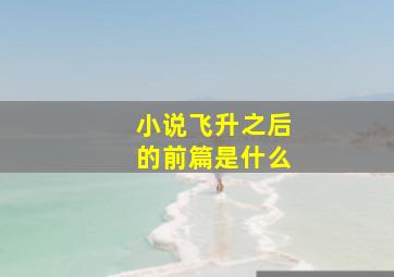 小说《飞升之后》的前篇是什么