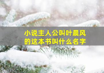 小说主人公叫叶晨风的,这本书叫什么名字